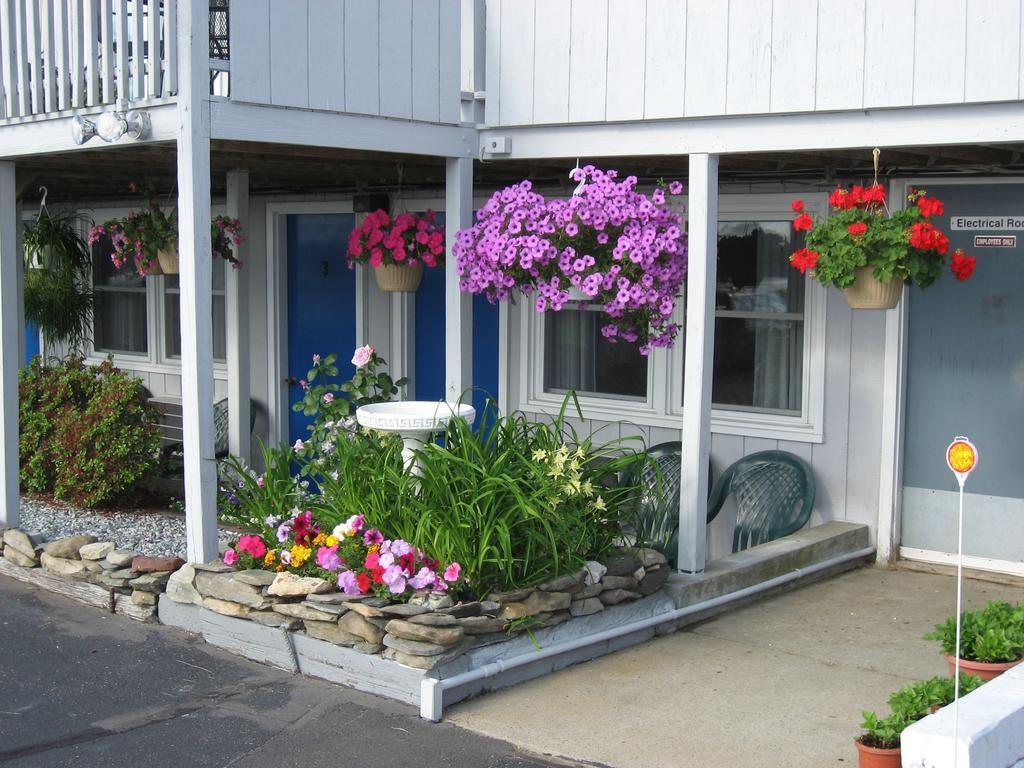 Sea Whale Motel Мидлтаун Экстерьер фото